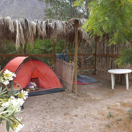 Astro Camping Elqui Experience Vicuña Eksteriør billede